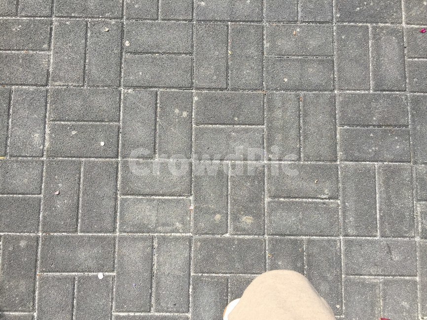 보도블럭,거리,길,회색,블럭
