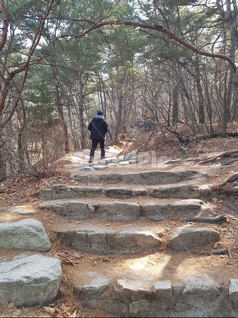 계단,산,산행,나무,길