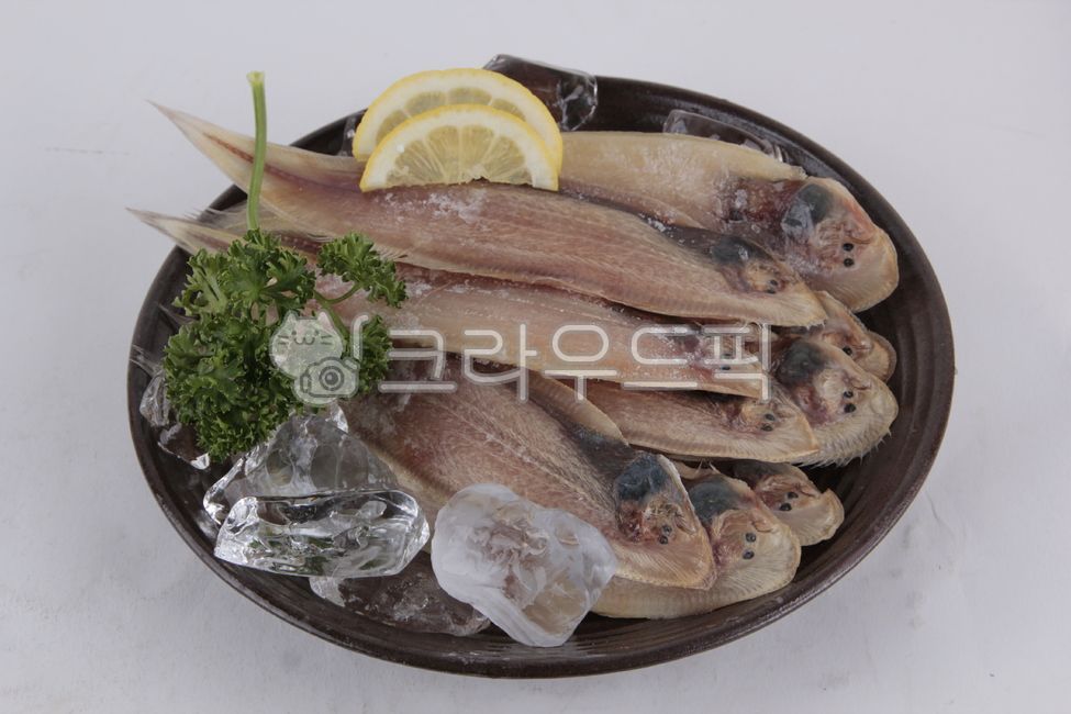 박대, 서대, 생선, 냉동생선, 식자재, 사진,이미지,일러스트,캘리그라피 - Nerika_mini작가