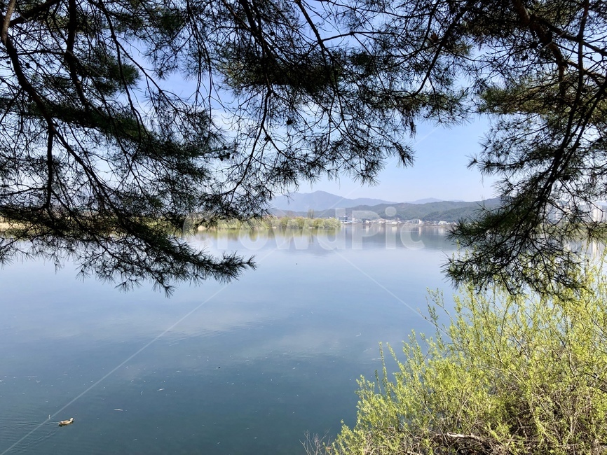 봄,강,자연,풍경,춘천,강변산책로,봄빛,자연의색,청량,nature,river,산책로,강물,ecology,물결,맑음