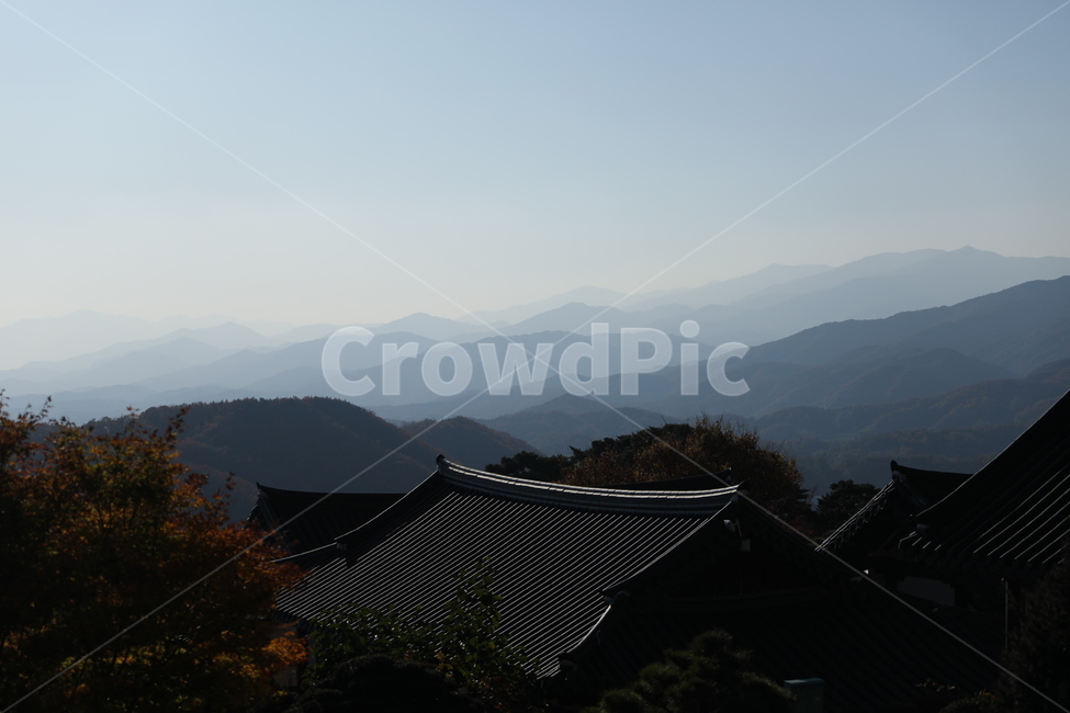 기와,산세,산속,나무,산속풍경,roof,지붕,안개,절풍경