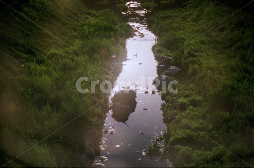 하천,물,풀,바위,햇빛,자연,풍경,nature,landscape,감성,sensible,feeling,puddle,흐리게 하다