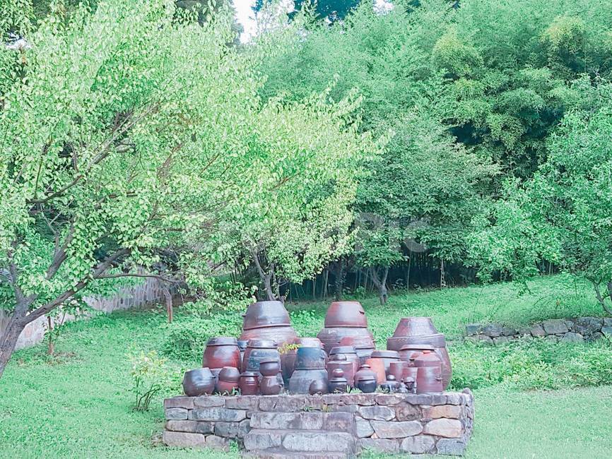 장독대,한국,oriental,korea,자연,nature,한국전통,한국문화,korean traditional,korean culture