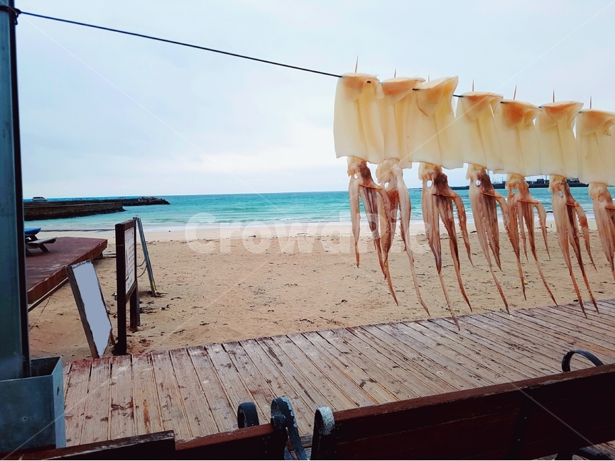 길,제주도,물,나란히,해변,제주,오징어,한치,바다,파도,바닷가,해안가,옥빛,줄,나무,마루,의자,하늘,구름,파란색,모래,해변,바다,beach,sea,음식,식재료,요리,food,cook,meal,dishes,food reserves,수산물,해산물,fishery products,seafood