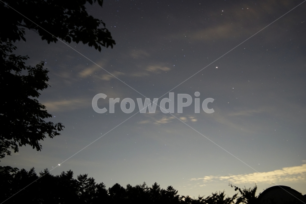 별,은하수,새벽,숲,반짝반짝,작은별,자연,풍경,nature,landscape,outdoors,옥외,outer space,대기권 밖,space,우주,astronomy,천문학,night,밤,universe,starry sky,별이 빛나는 하늘