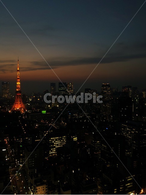 옥외,건물,옥상,도쿄,일본,야경,구름,경치,타워,반짝반짝,도쿄타워,city,시티,metropolis,중심지,building,자연,건축물,뾰족한탑,landscape,steeple,tower,town