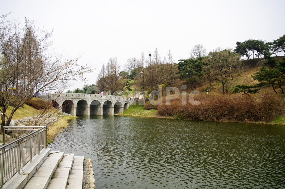 나무,공원,식물,plant,호수,다리,올림픽공원,자연,풍경,nature,landscape,water,물,building,건물