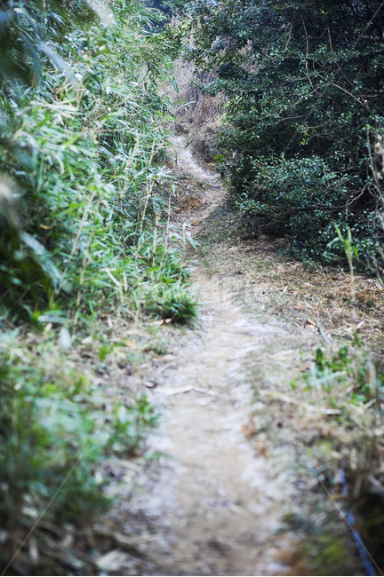 길,오솔길,풍경,호젓함,road,landscape,path,자연,nature,좁은길