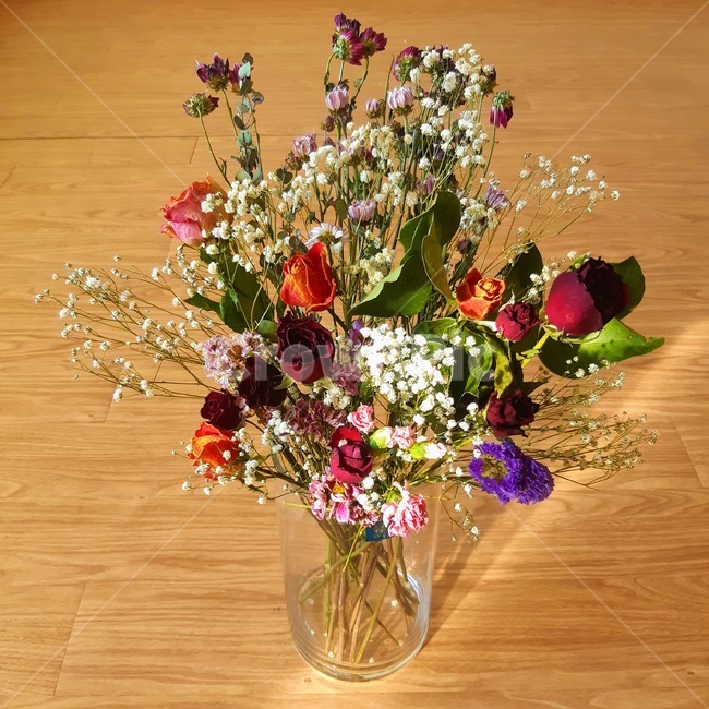 식물,장미,안개꽃,드라이플라워,dryflower,plant,목화,꽃병,flower