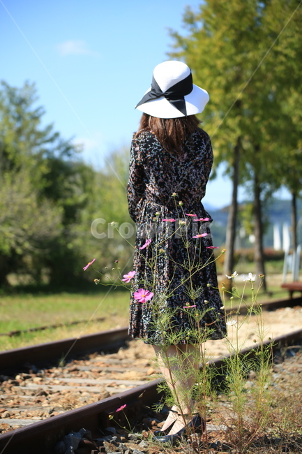 폐역,코스모스,사람,뒷모습,철길,흰모자,원피스,가을,계절,fall,autumn,season,사람,인물,인간,human,person,여성,여자,woman,female,lady,hat,모자,transportation,교통,rail,레일,train track,기찻길,railway,철도