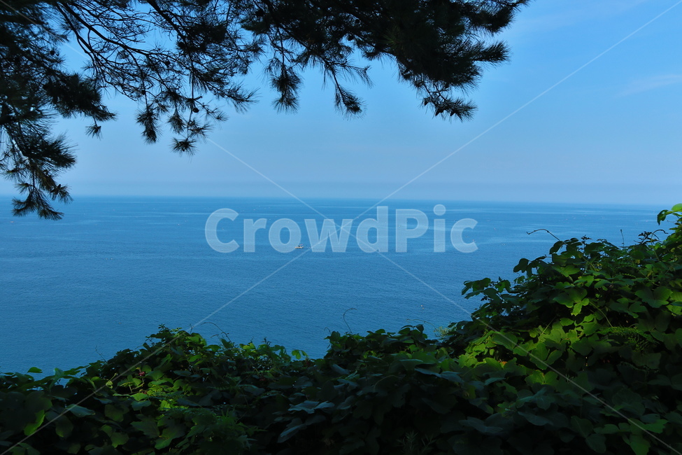 바다,수평선,경치,경관,풍광,동해,sea,풍경