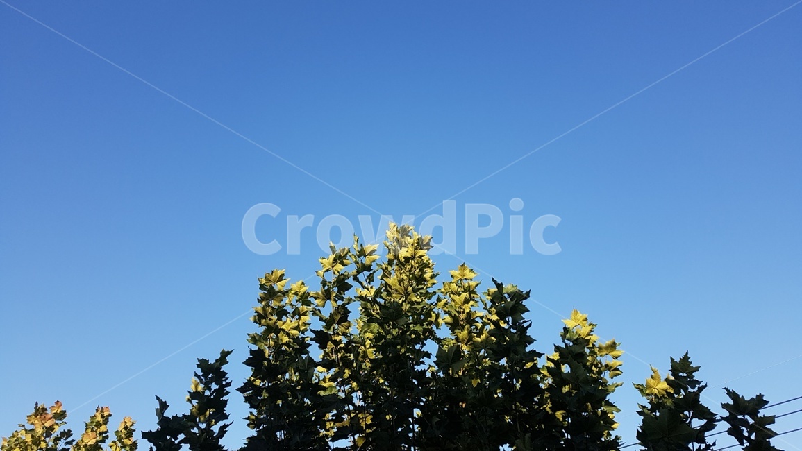 봄,파란하늘,여름,배경화면,파랑,자연,풍경,nature,landscape