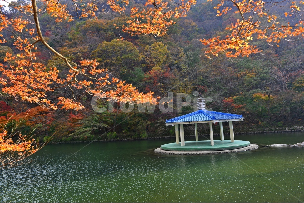water,nature,자연,정읍,내장사,내장사추색,내장사가을,연못,정자,우화정,outdoors,tree,나무,plant,식물,maple,단풍,leaf,잎,가을,계절,딘풍잎,추색,추경,경치,경관,픙경,가을,계절,fall,autumn,season