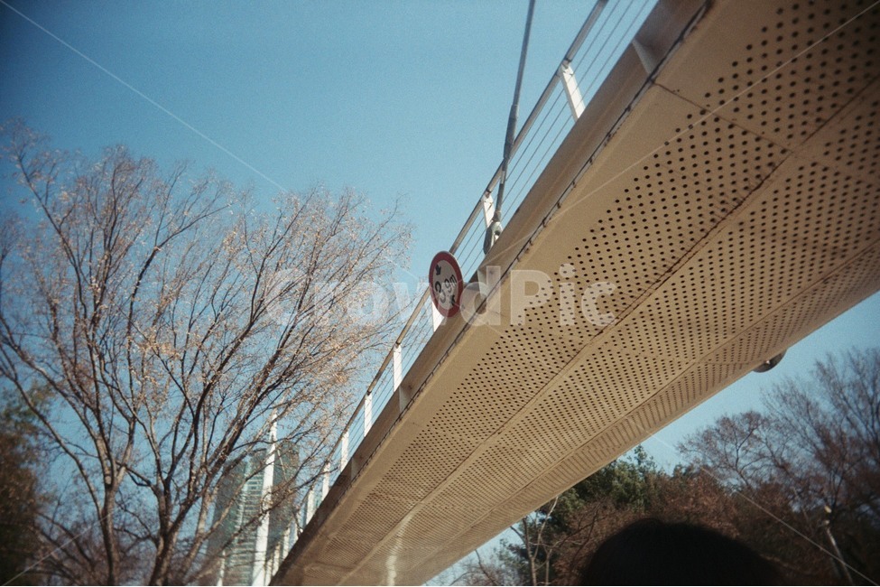 표지판,다리,높이제한,풍경,다리밑,건축물,건물외관,exterior,building,structure,architecture,construction