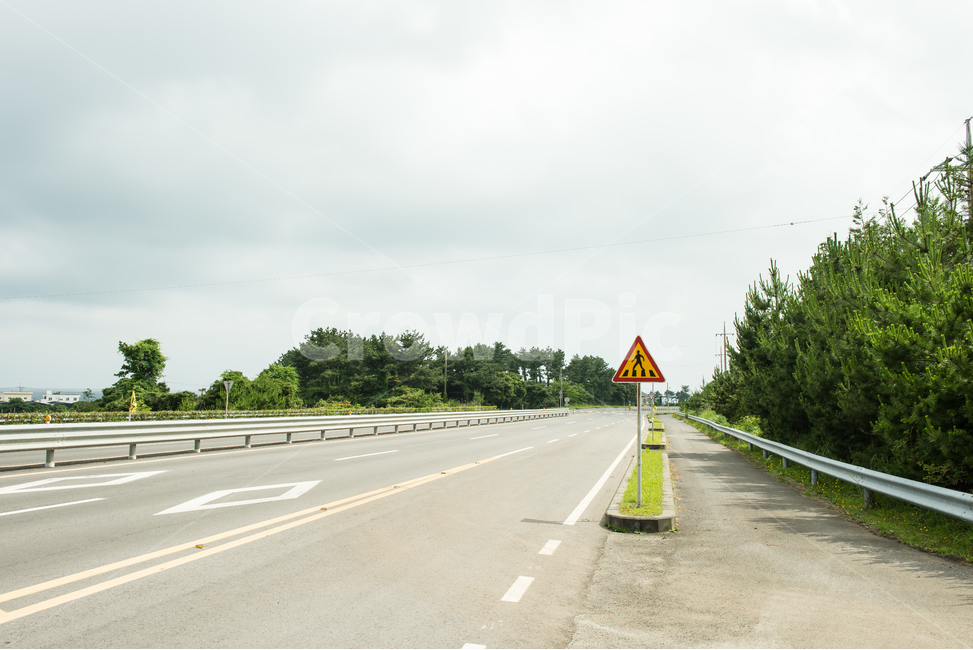 표지판,횡단보도,도로,경고,알림,제주도,한국,sign,crossing,road,도보,차도,주의,교통,교통수단,traffic,transportation