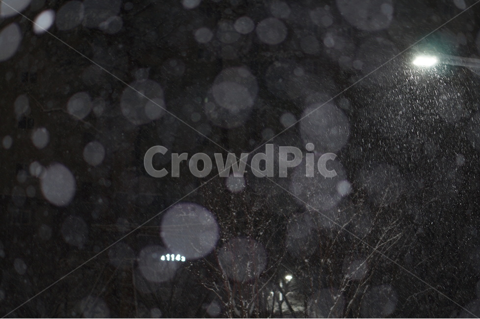 눈,야경,보케,밤,겨울,풍경,겨울,계절,winter,season