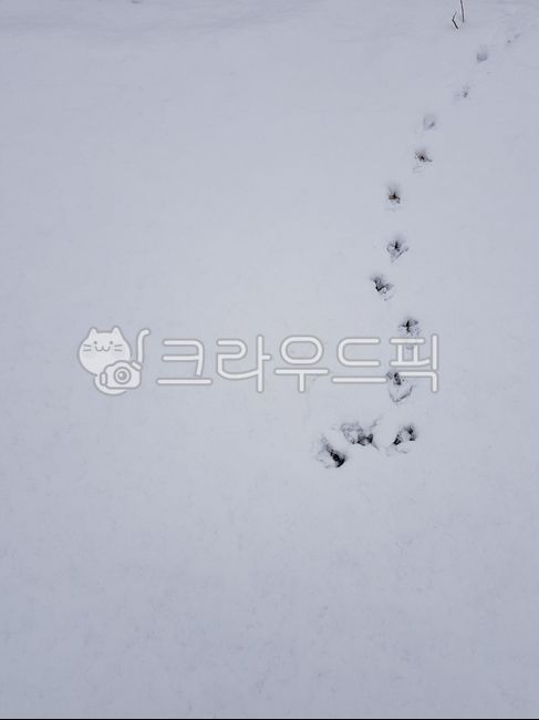 footprint,line of vision,nature,white background,eye stationery