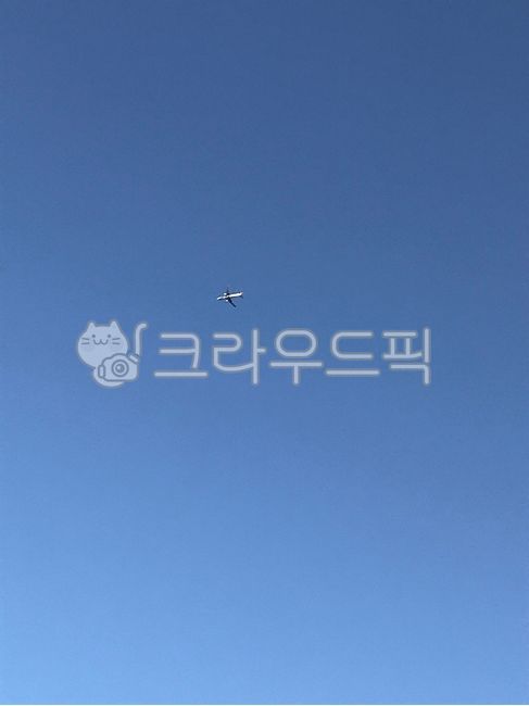 비행기,하늘,비행,날다,파란하늘,여행