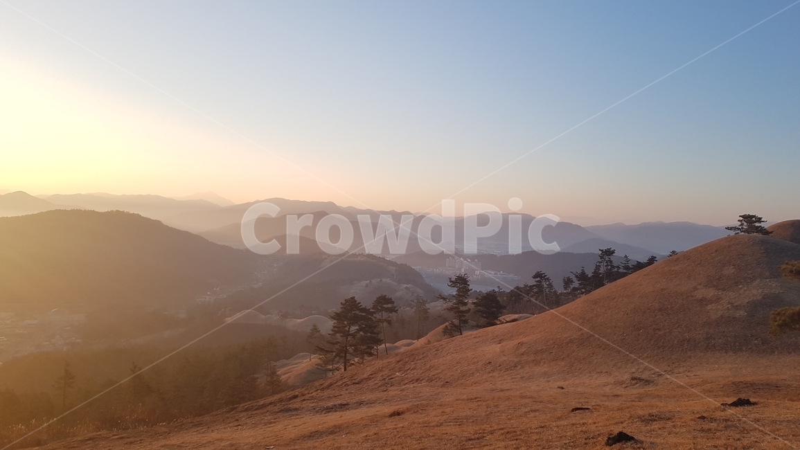 풍경,산,등산,감성,나무