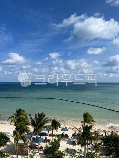 Summer sea,Cancun,Mexico,seascape,clouds,sea,palm trees,summer vacation,natural scenery