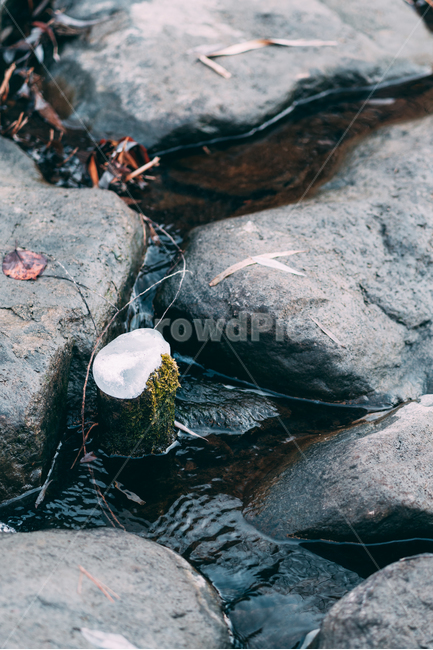 돌,강,하천,얼음,겨울,식물,이끼,물,water,자연,winter,landscape,겨울,계절,winter,season