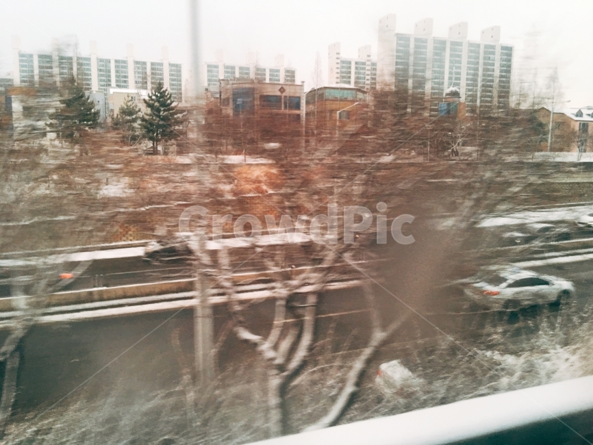 나무,눈,겨울,도로,창문,차도,아파트,운전,광주,광주도로,겨울,계절,winter,season,도시,풍경,city,landscape,한국도시풍경,한국도시경관,korea cityscape,감성,sensible,feeling,교통,교통수단,traffic,transportation,nature,자연,blizzard,눈보라,storm,폭풍,outdoors,옥외,snow