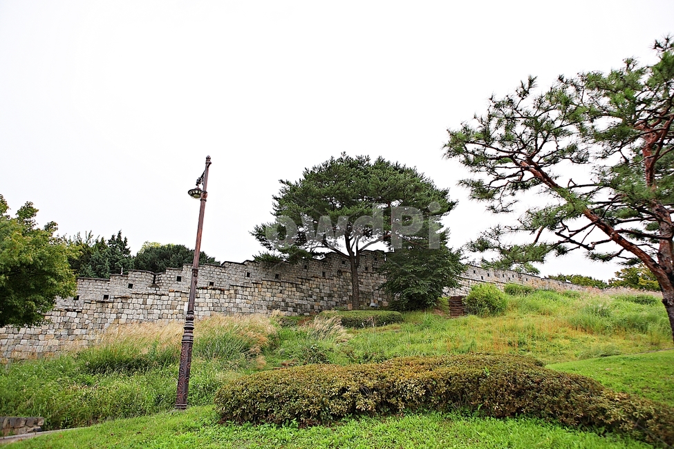 stone wall,castle,earthen wall,nature,defensive wall,Suwon Hwaseong Fortress,scenery,trail,dam,road,autumn,tradition,wall