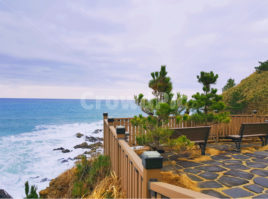 바다,나무,여름,풍경,배경,자연,풍경,nature,landscape,한국자연풍경,한국자연경관,korea nature landscape,handrail,난간,banister,railing