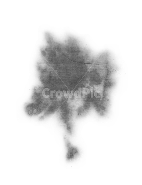 먹물,수묵,동양화,한국화,페인트,브러쉬,붓,패턴,그림,추상,물,번짐,효과