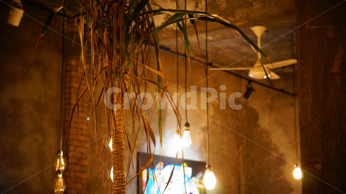 조명,풀,플라워,꽃,감성,인테리어,실내디자인,interior design