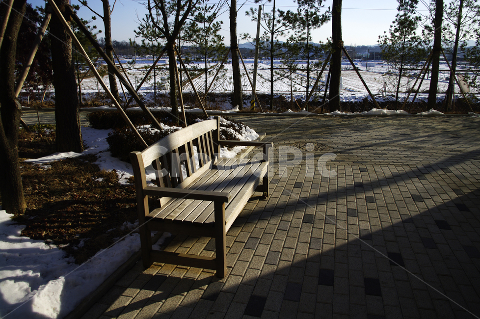 겨울,winnter,계절,의자,그림자,겨울,계절,winter,season,자연,풍경,nature,landscape