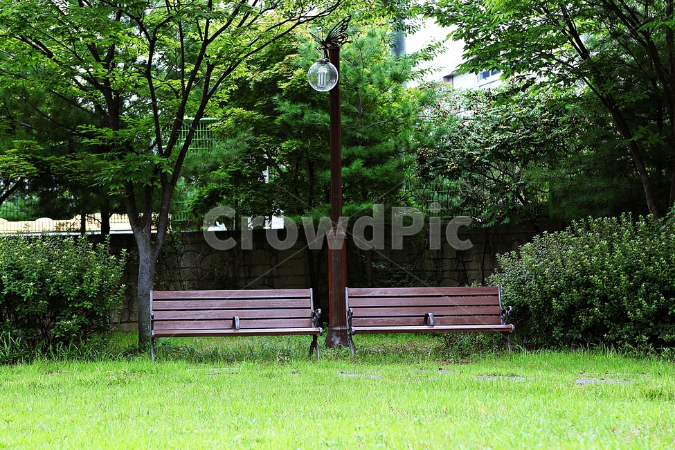 볜치,의자,나무,잔디,식물,풍경,자연