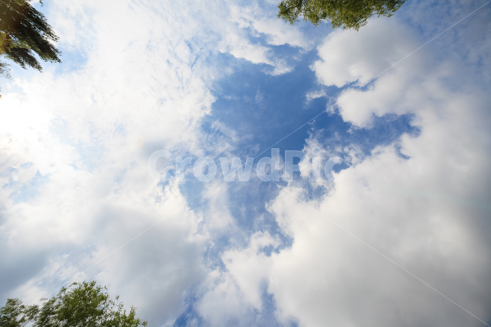 하늘,여름,구름,날씨,숲,공원,나무,자연,풍경,nature,landscape,outdoors,옥외