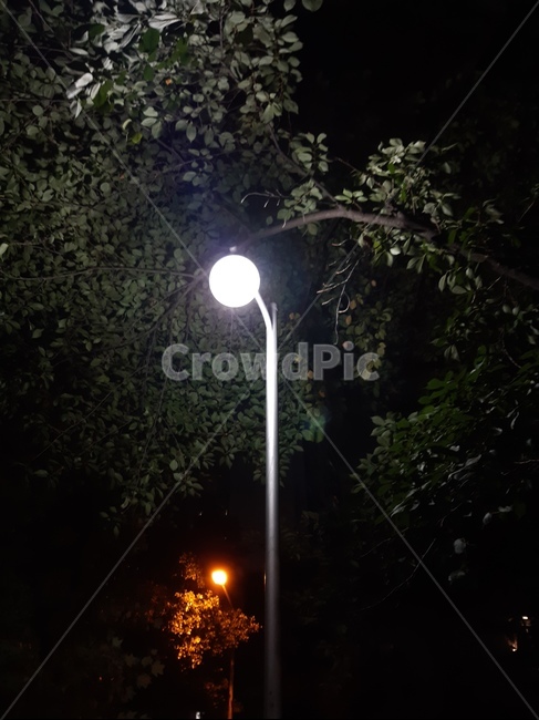 lamppost,램프포스트,가로등,불빛,밤,night,light,감성