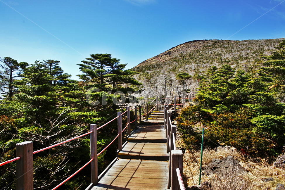 나무계단,탐방로,등산로,한라산,제주도,한라산국립공원,성판악코스,등산,푸른하늘