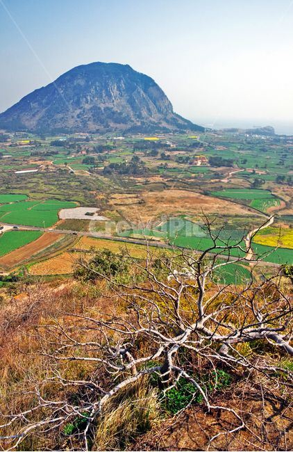 산방산,제주도,서귀포시,오름,밭,농작물,단산,자연,제주도,jeju,jeju island,outdoors,옥외,scenery,풍경,nature,landscape,경치