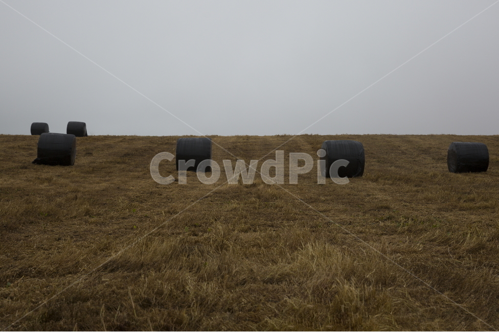제주,건초,제주방목지,건초묶음,제주목장,자연,풍경,nature,landscape,한국자연풍경,한국자연경관,korea nature landscape,제주도,jeju,jeju island,outdoors,옥외