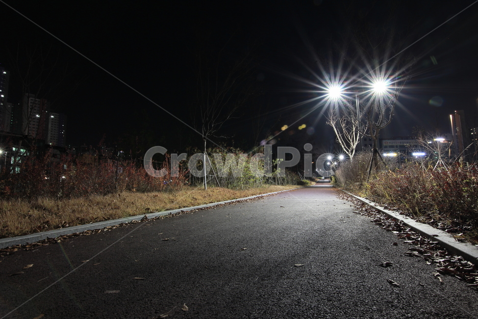 야경,빛갈라짐,가로등,길거리,도로,밤,야경,밤,풍경,nightscape,night,landscape,asphalt,아스팔트,road