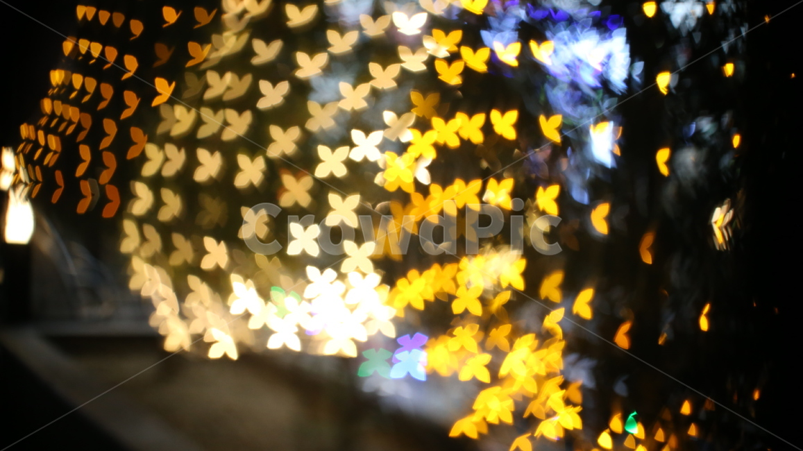 조명불빛,light,보케,bokeh,조명,꼬마전구