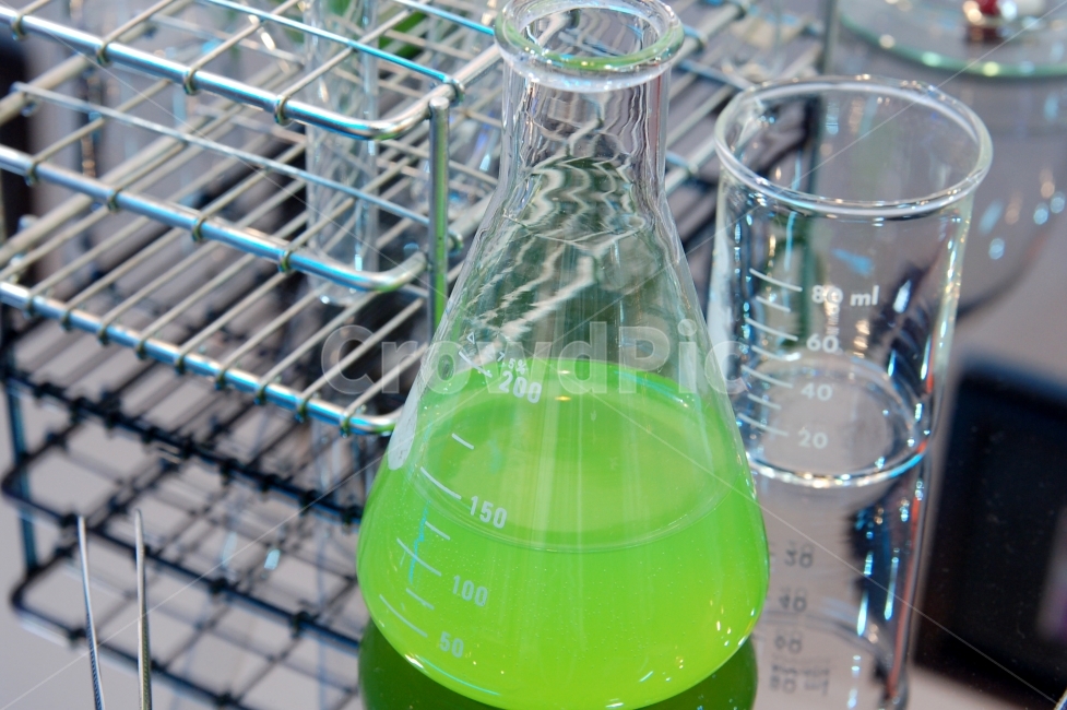 비이커,실험,연구,화학,과학,실험실,눈금,유리컵,기구,실험기구,experiment,chemistry,산업,industry,industrial,사물,물건,오브젝트,thing,object,matter
