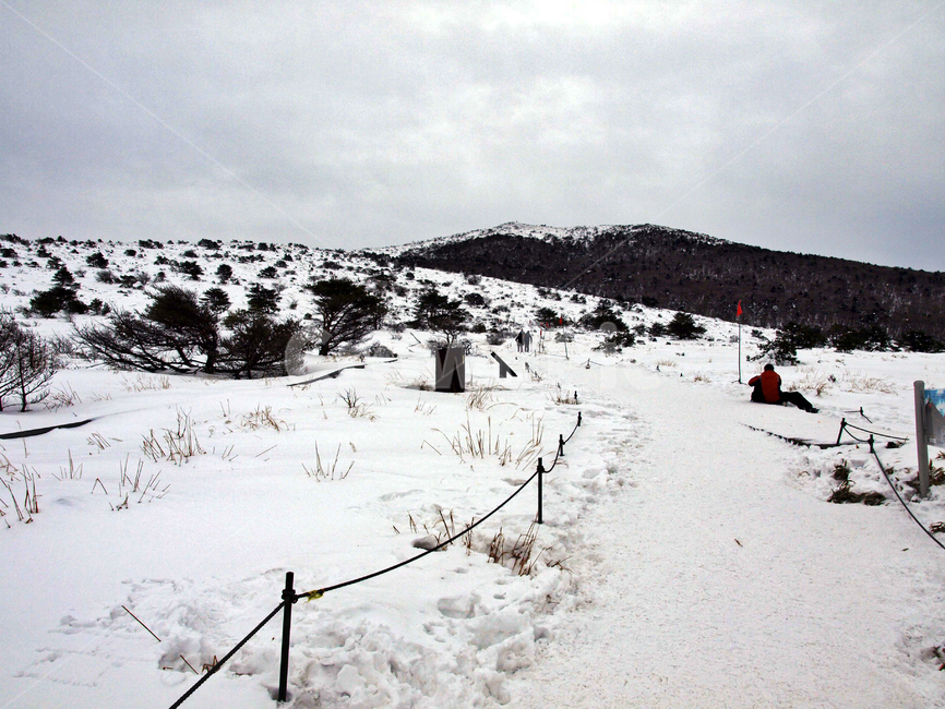 어리목,제주도,한라산,설경,겨울산,눈,등산,설화,탐방로,등산로,겨울,계절,winter,season,자연,풍경,nature,landscape,outdoors,옥외