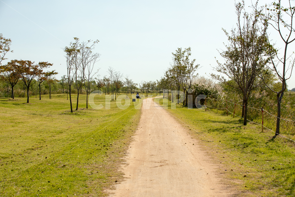 가로수길,생태공원,도심공원,길,하늘,구름,휴식,데이트코스,학습,자연,풍경,nature,landscape,road,도로