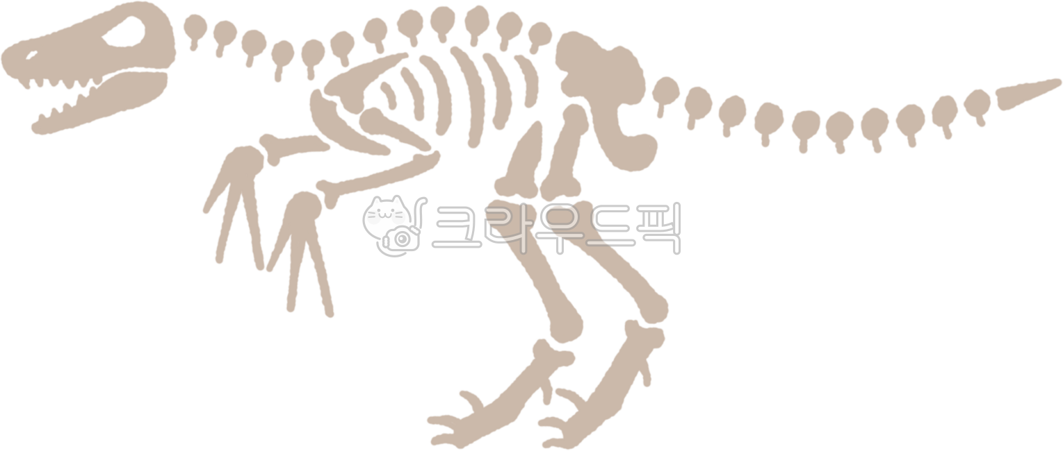 공룡,뼈,공룡뼈,화석,공룡화석,엑스레이,티라노사우르스,브라키오사우르스,투시,랩터,해부,관절,해부학,지질학,유적,선사시대,과거,해골,두개골,동물,갈비뼈,척추,꼬리뼈,신체부위,동물뼈