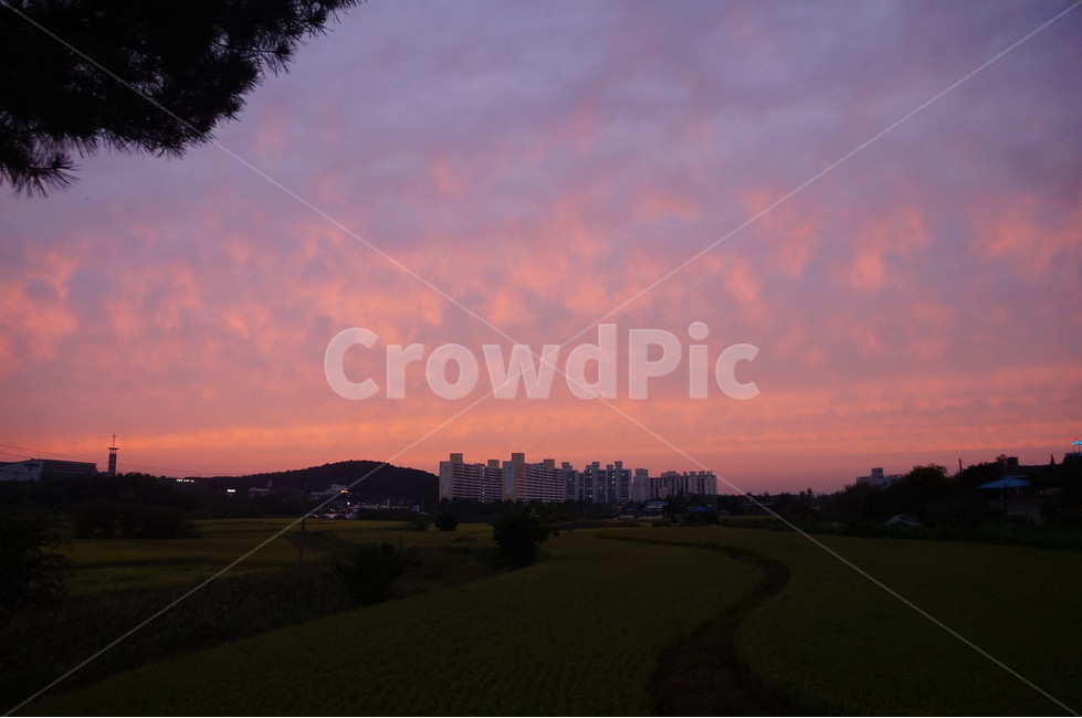 자연,nature,석양,하늘,sky,빨간색,붉은하늘,붉은노을,들판,outdoor,들