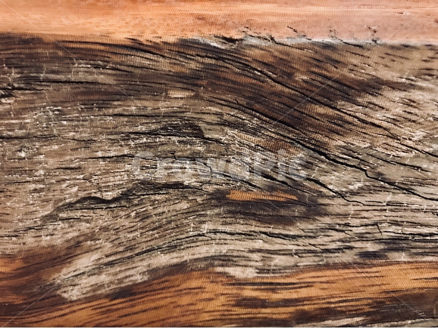 나무,나뭇결,패턴,세월,흔적,나무,trees,wood,텍스처,질감,패턴,texture,pattern