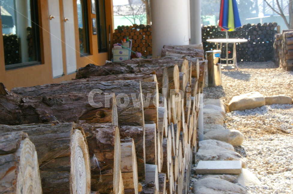 야외,나무,재목,장작,장작더미,나무,trees,wood