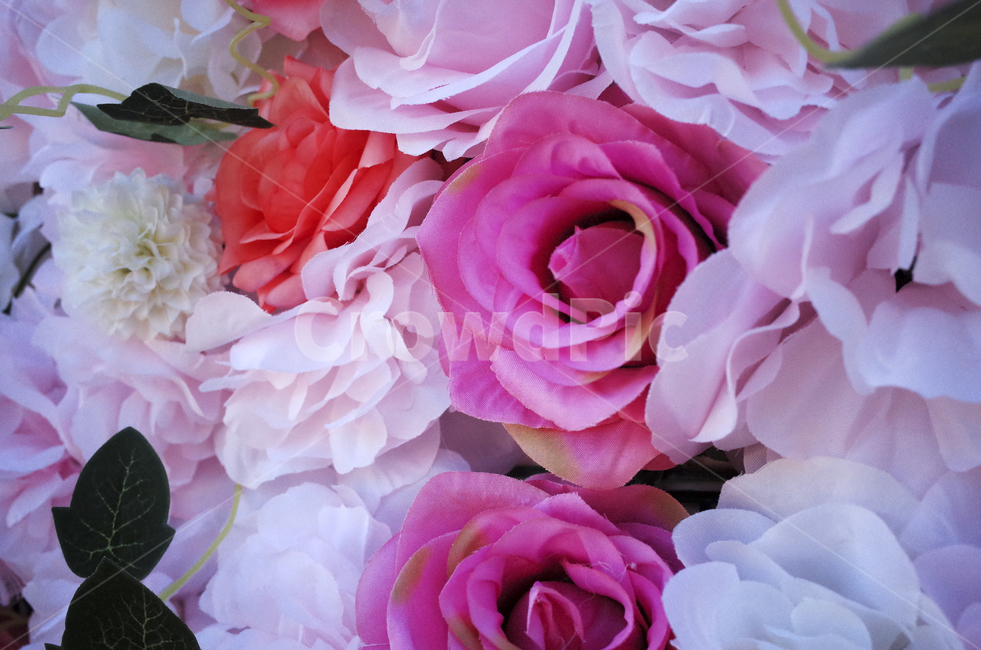 flower,blossom,꽃,pink,white,분홍,조화,인공꽃,가짜꽃,식물,자연,plants,nature,꽃,flower