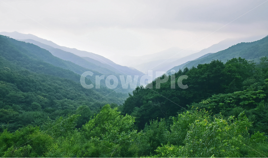 산,능선,아우라,첩첩산중,고산지대,그라데이션,자연,풍경,그린,초록,녹색,블루,파랑색,겹겹이,높은산,아웃라인,파스텔톤,mountain,pasteltone,background,바탕,배경,백그라운드,숲,forest,green,자연,풍경,nature,landscape,한국자연풍경,한국자연경관,korea nature landscape,outdoors,옥외