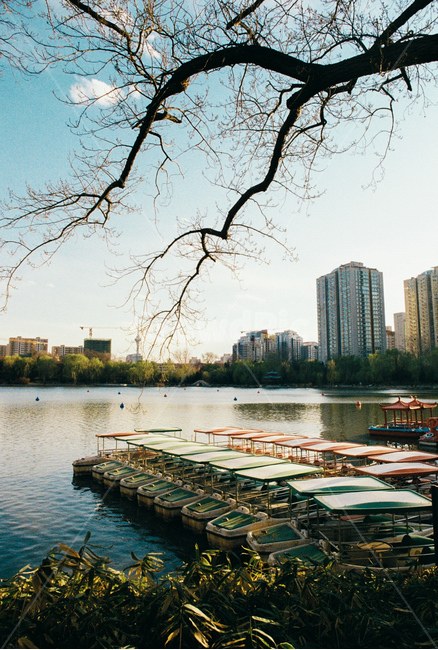 풍경,호수,물가,보트,공원,나무,하늘,자연,배,park,ship,boat,scenery,lake,nature,landscape,도시,풍경,city,landscape,water,물,waterfront,워터 프론트,pier,교각,port,포트