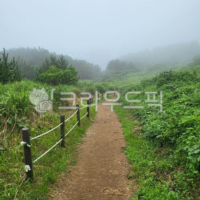 path, 길, nature, 자연, outdoors, 사진,이미지,일러스트,캘리그라피 - hyunil89작가
